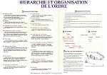Organisation et Hiérarchie
